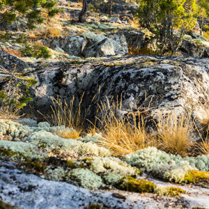 ladoga-protravellife